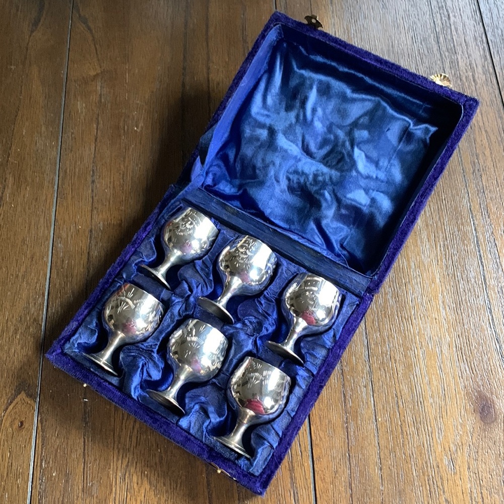 Vintage 1960’s Silverplate Etched Cordial Goblet Set in Velvet Box